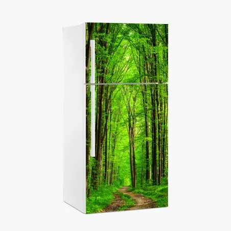 Fridge sticker lush green forest pathway • Wallissimo®
