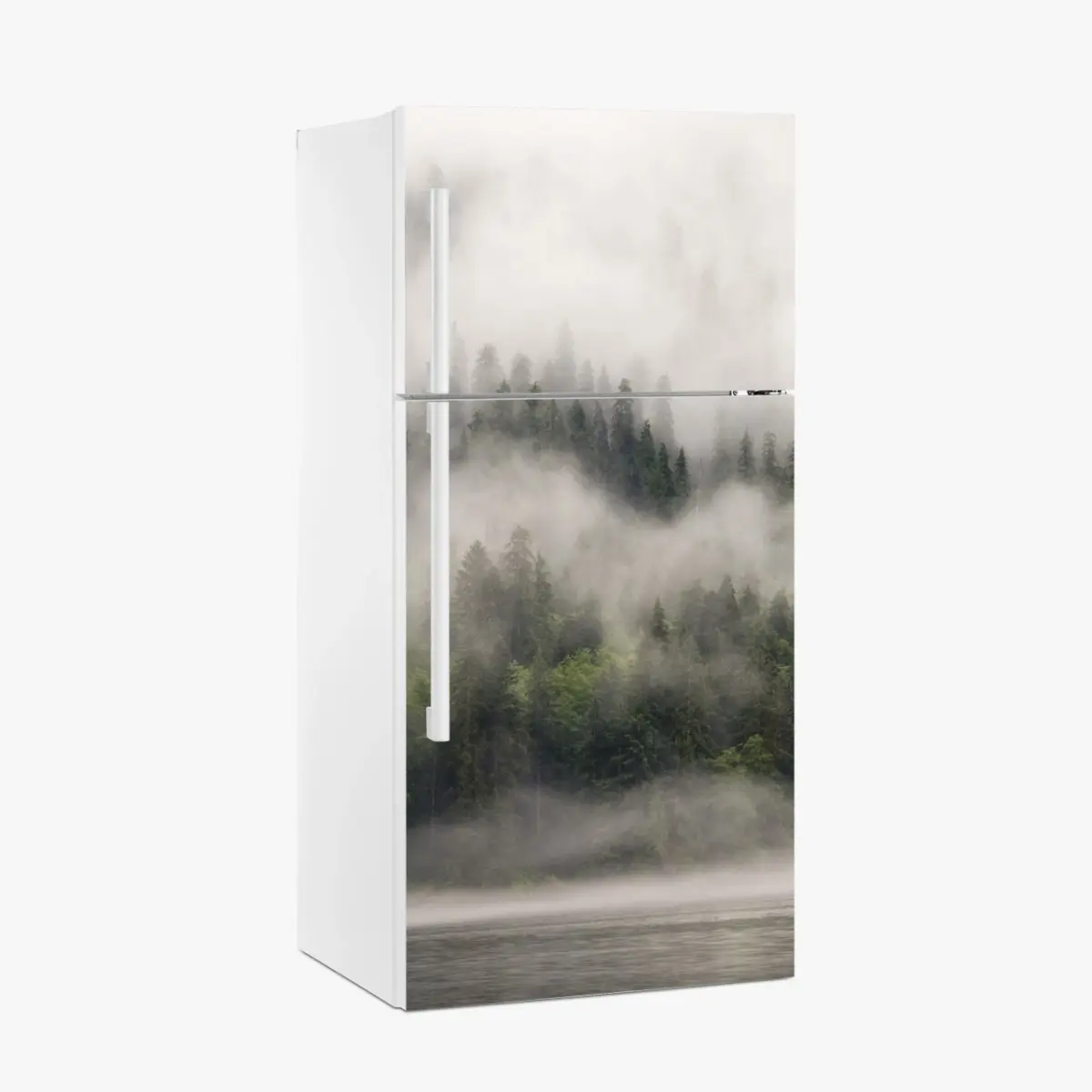 Fridge sticker misty coastal forest, British Columbia • Wallissimo® Fridge sticker misty coastal forest, British Columbia • Wallissimo®