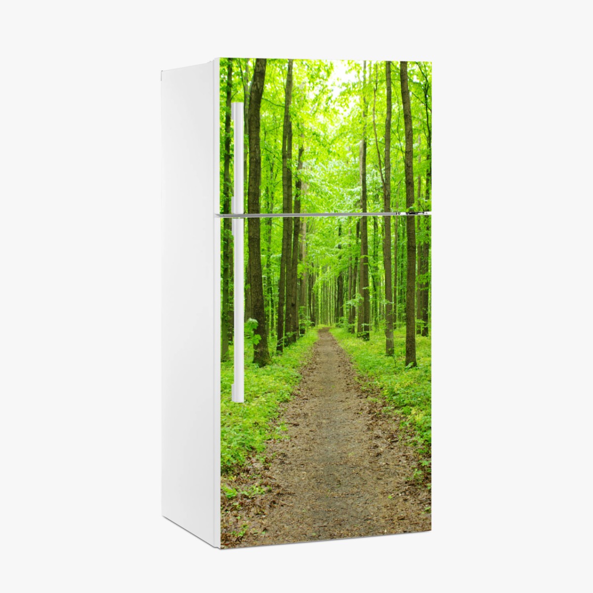Fridge sticker serene green forest path • Wallissimo® Fridge sticker serene green forest path • Wallissimo®