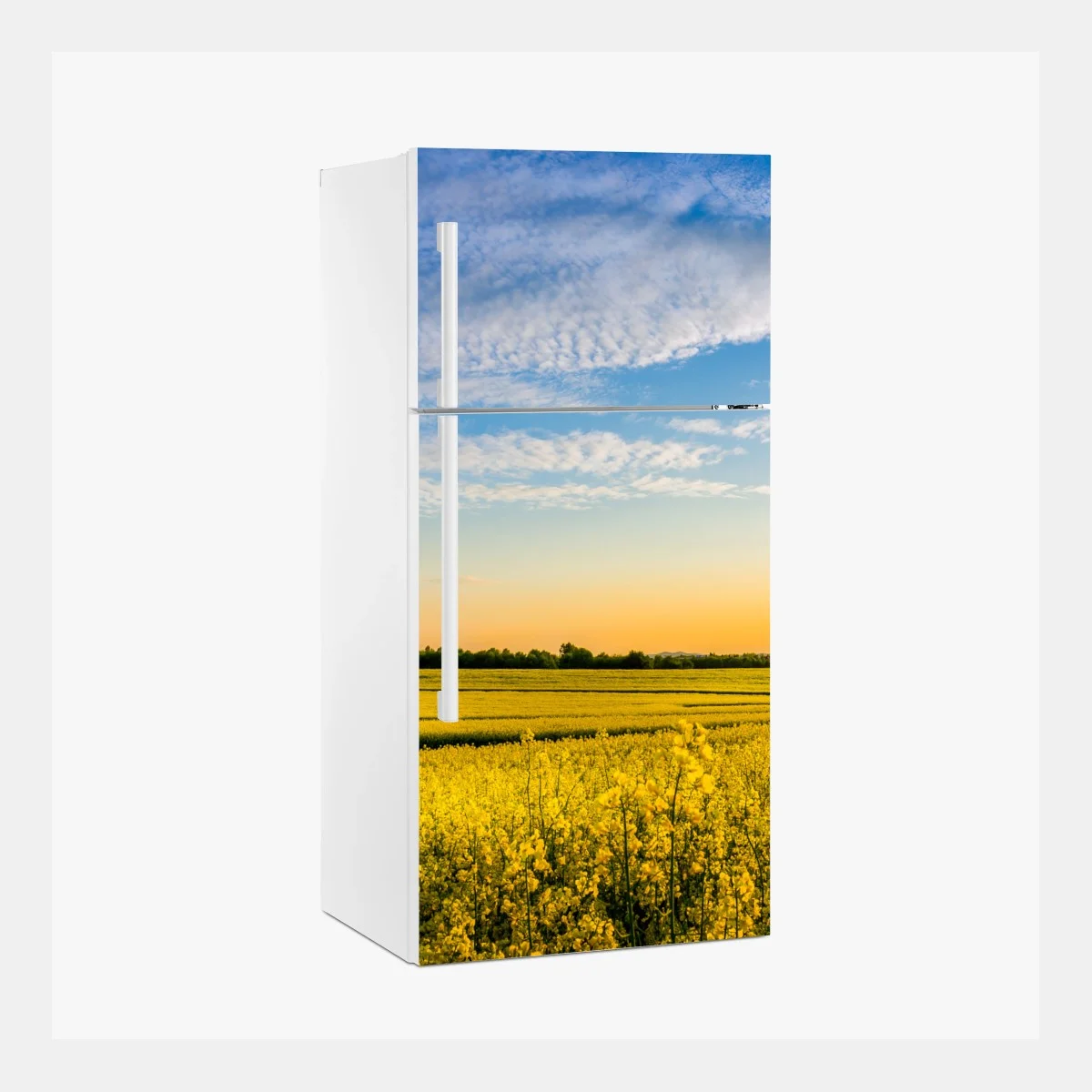 Fridge sticker sunlit canola field at sunset ⁕ Wallissimo® Fridge sticker sunlit canola field at sunset ⁕ Wallissimo®