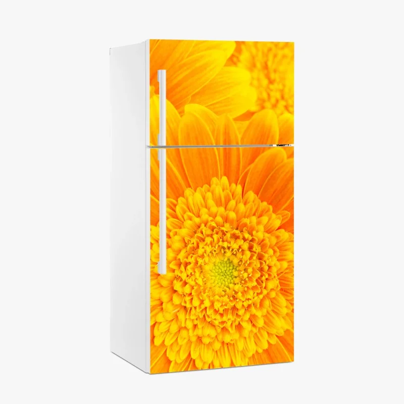 Fridge sticker vibrant orange gerbera bloom close-up