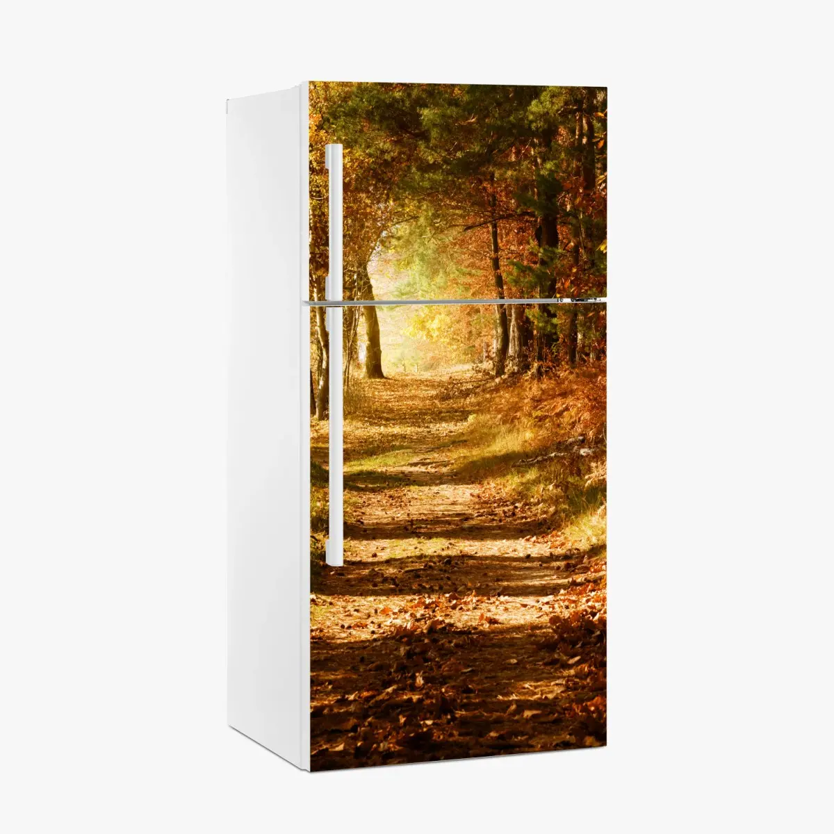 Fridge sticker autumn forest path with golden sunlight ⁕ Wallissimo® Fridge sticker autumn forest path with golden sunlight ⁕ Wallissimo®