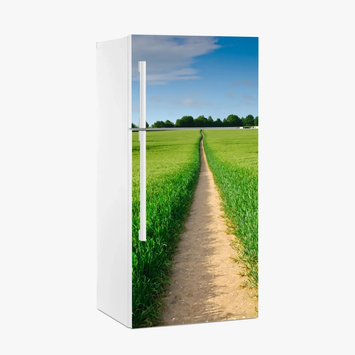 Fridge sticker sunlit path through green meadow • Wallissimo® Fridge sticker sunlit path through green meadow • Wallissimo®