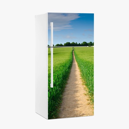 Fridge sticker sunlit path through green meadow • Wallissimo®