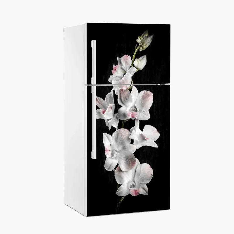 Fridge sticker white and pink orchid on black background