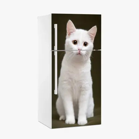 Fridge sticker adorable white cat portrait • Wallissimo®