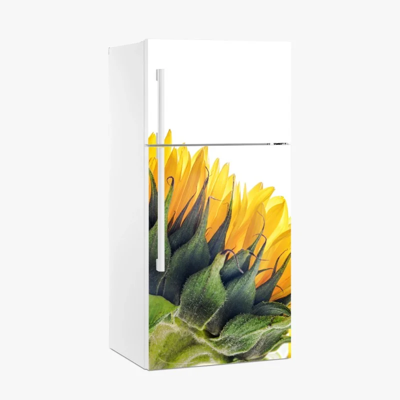 Fridge sticker sunflower corner on white background