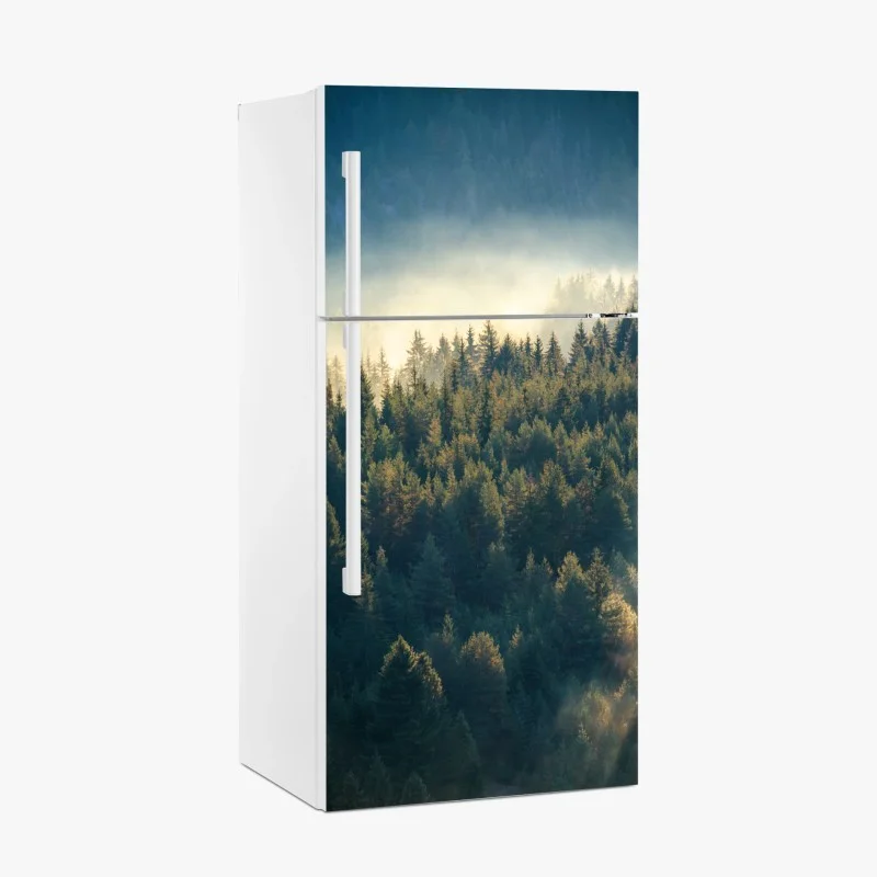 Fridge sticker misty pine forest at dawn
