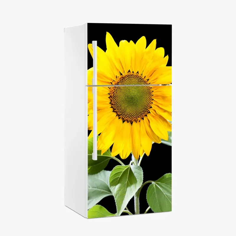 Fridge sticker vibrant sunflower on black background