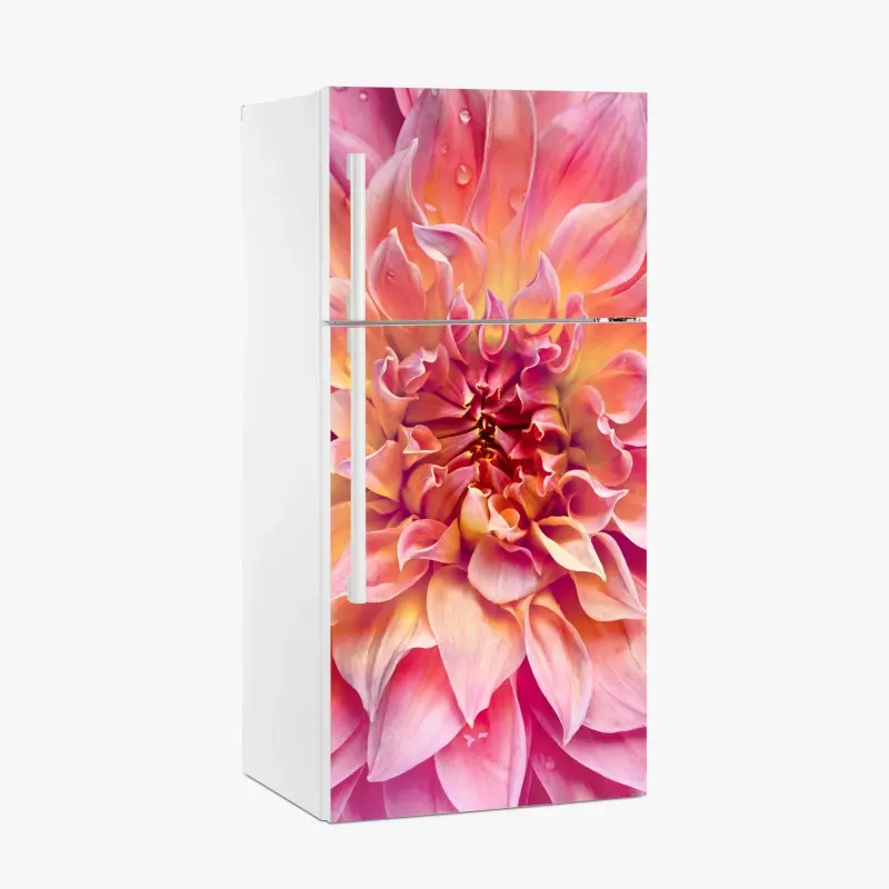 Fridge sticker pink dahlia bloom close-up