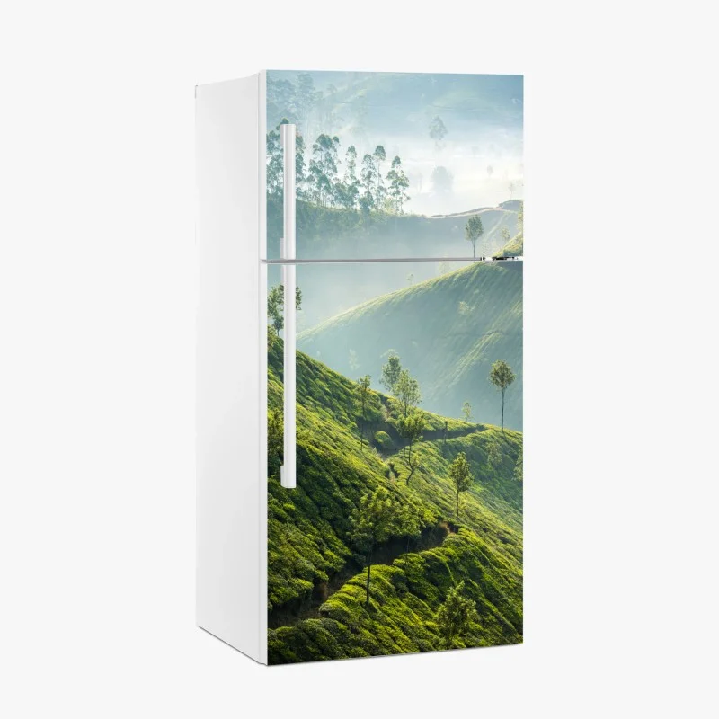 Fridge sticker misty tea terraces of Munnar