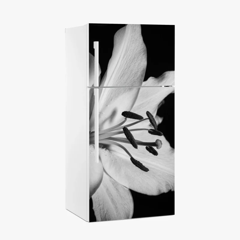 Fridge sticker monochrome lily close-up