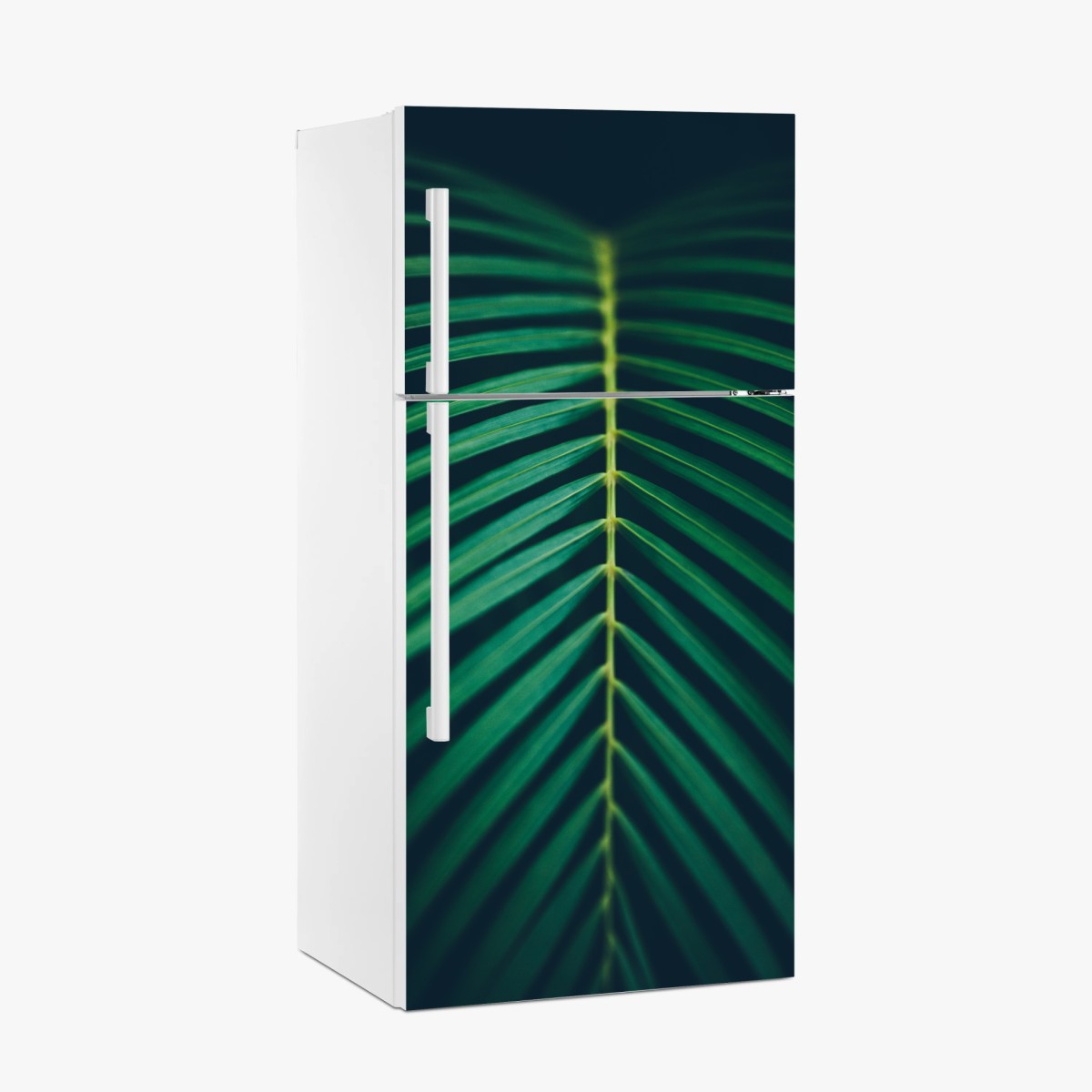 Fridge sticker vertical palm leaf close-up • Wallissimo® Fridge sticker vertical palm leaf close-up • Wallissimo®