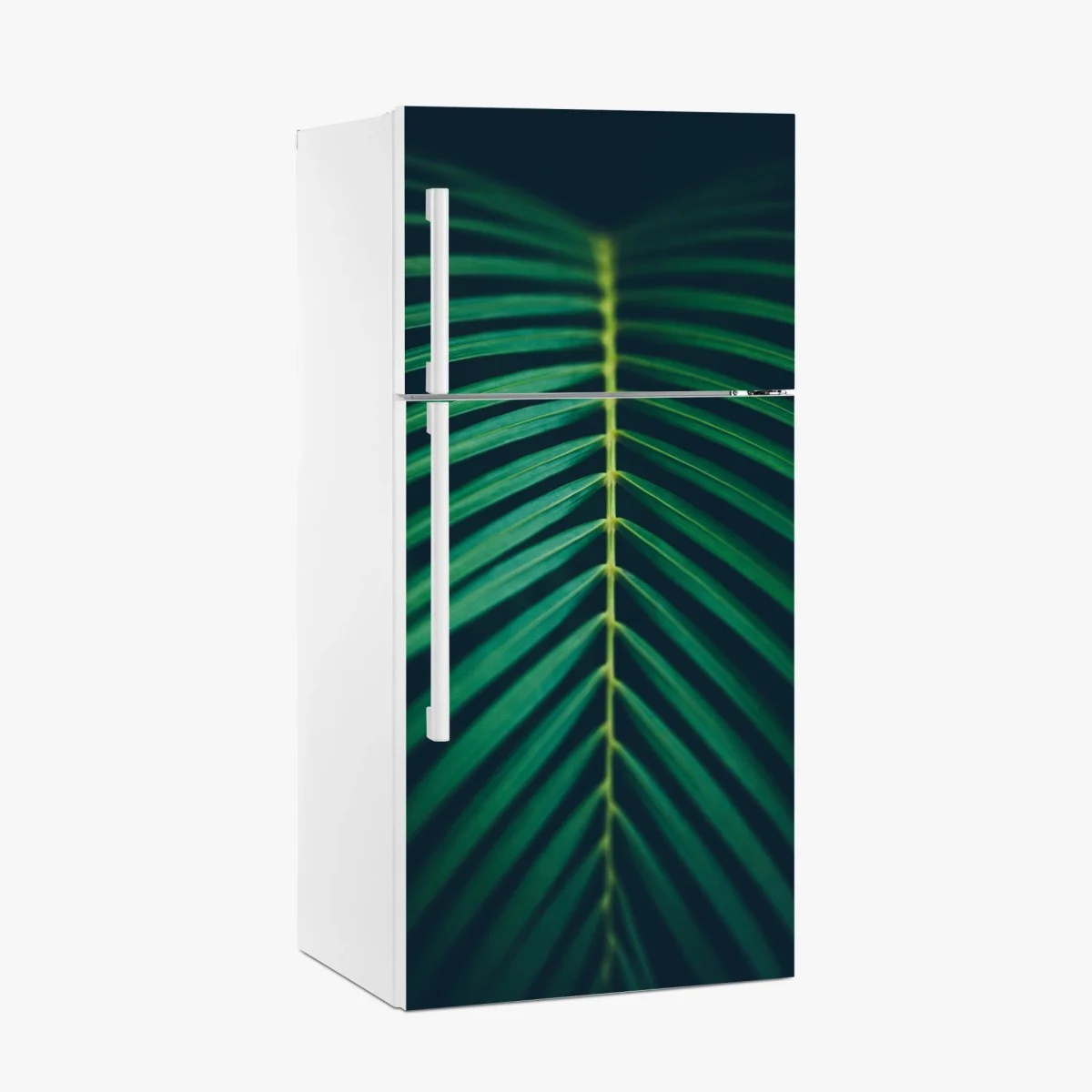 Fridge sticker vertical palm leaf close-up ⁕ Wallissimo® Fridge sticker vertical palm leaf close-up ⁕ Wallissimo®