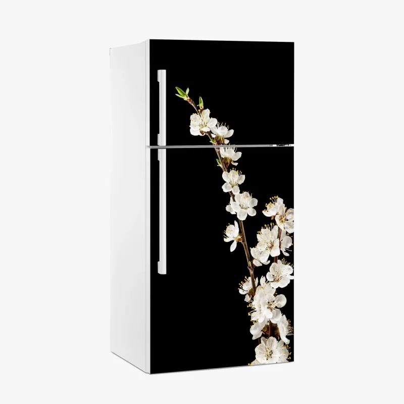 Fridge sticker delicate apricot blossom branch on black