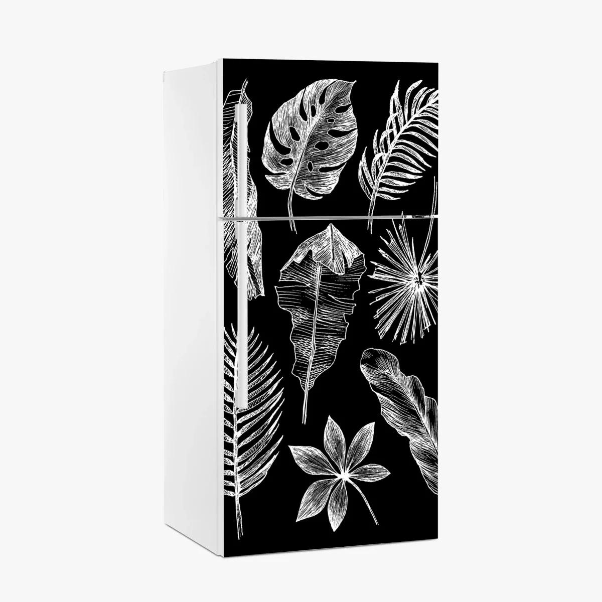 Fridge sticker monochrome botanical leaf composition • Wallissimo® Fridge sticker monochrome botanical leaf composition • Wallissimo®