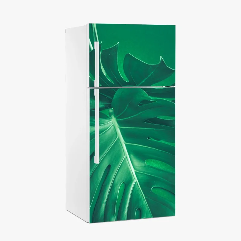 Fridge sticker lush monstera leaf close-up