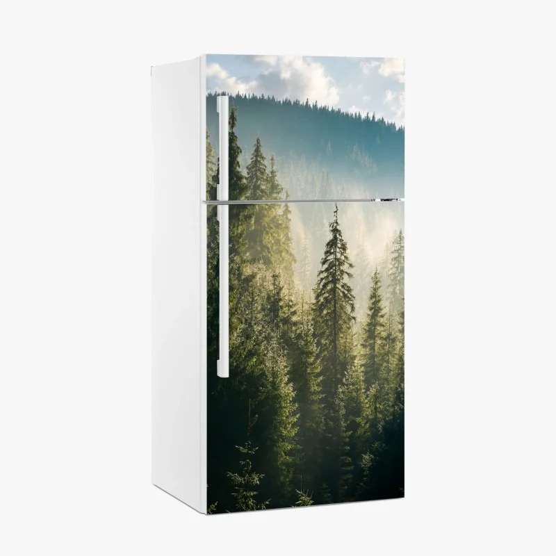 Fridge sticker misty spruce forest in morning light