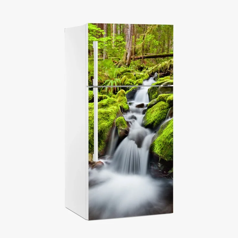 Fridge sticker mossy creek at Sol Duc Falls