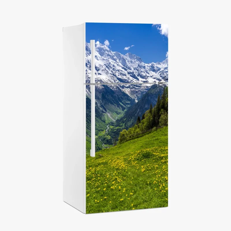 Fridge sticker alpine spring meadow under snowy peaks
