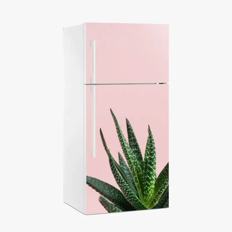 Fridge sticker green aloe on pink background