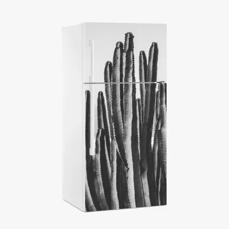 Fridge sticker monochrome cactus close-up • Wallissimo®
