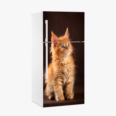 Fridge sticker curious ginger kitten portrait • Wallissimo®