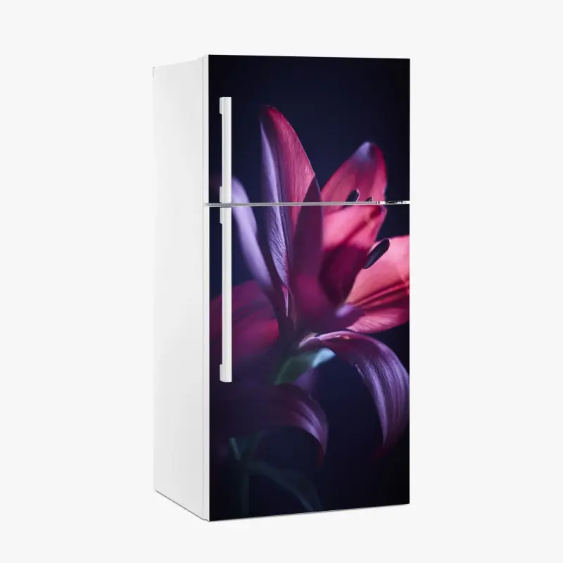 Fridge sticker • Wallissimo®