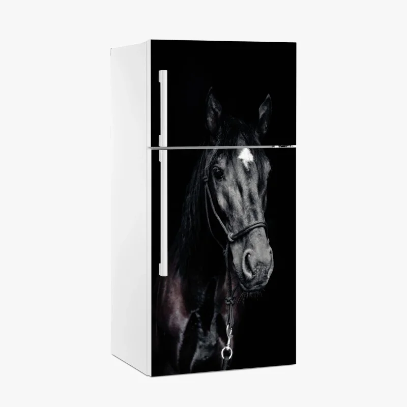 Fridge sticker majestic horse portrait