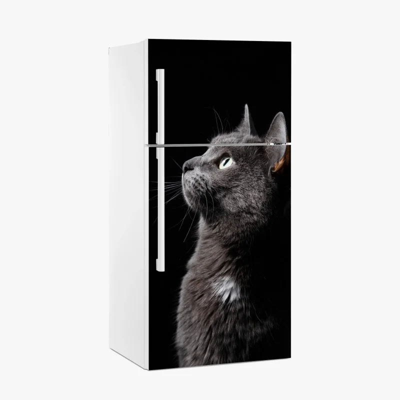 Fridge sticker elegant gray cat portrait