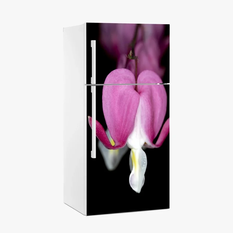 Fridge sticker delicate pink bleeding heart close-up