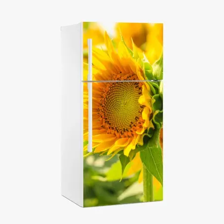 Fridge sticker sunflower bloom close-up • Wallissimo®