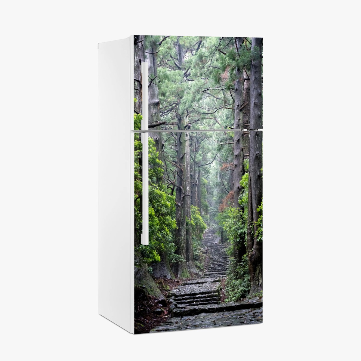 Fridge sticker misty forest path through ancient trees • Wallissimo® Fridge sticker misty forest path through ancient trees • Wallissimo®