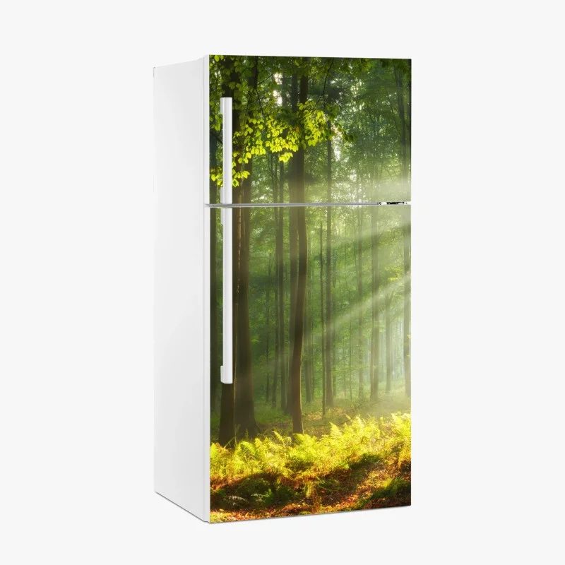 Fridge sticker sunlit morning in the forest