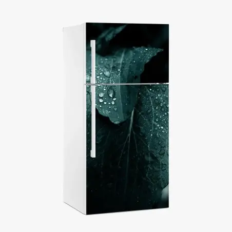 Fridge sticker teal dewdrops on leaves • Wallissimo®