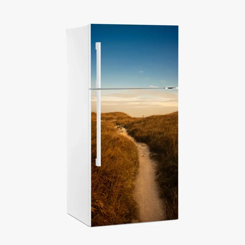 Fridge sticker sunlit dune path to the coast
