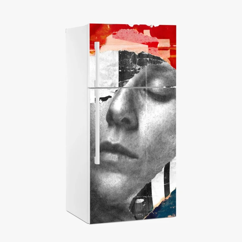 Fridge sticker torn portrait collage