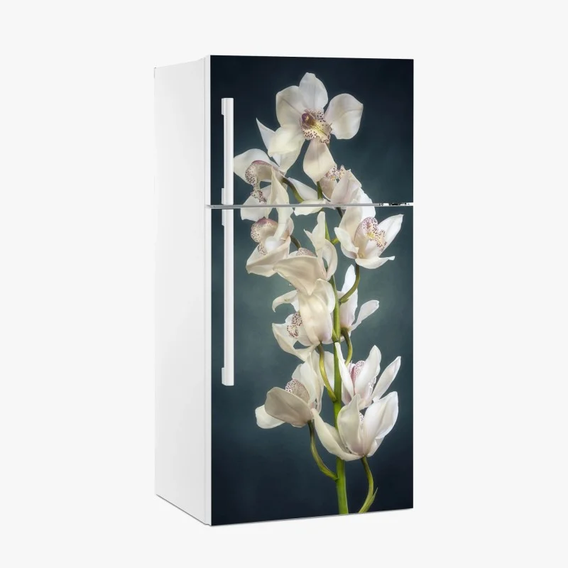 Fridge sticker delicate white orchids on teal background