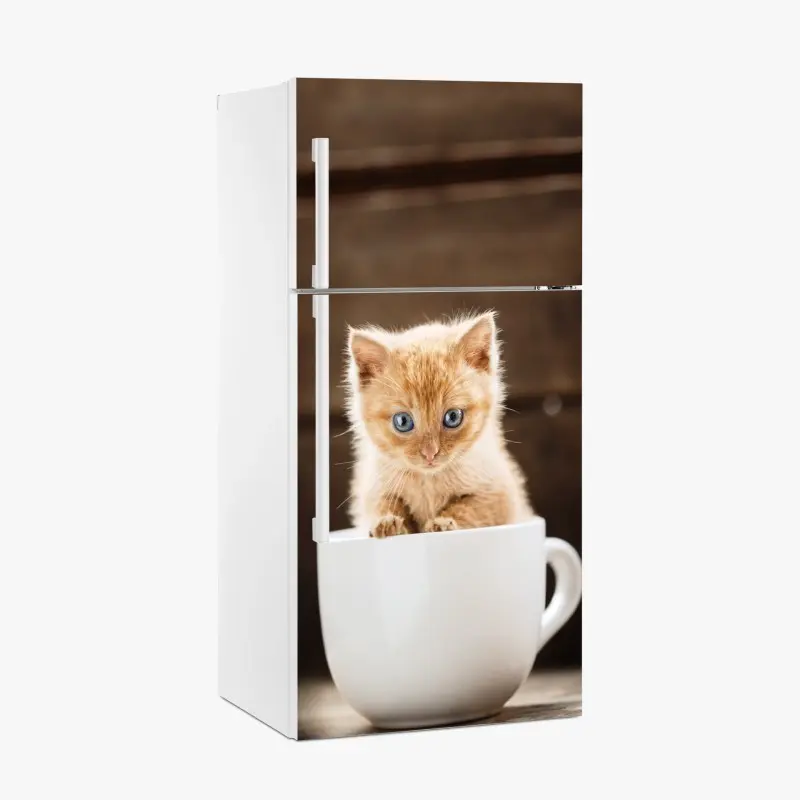 Fridge sticker ginger kitten in a teacup
