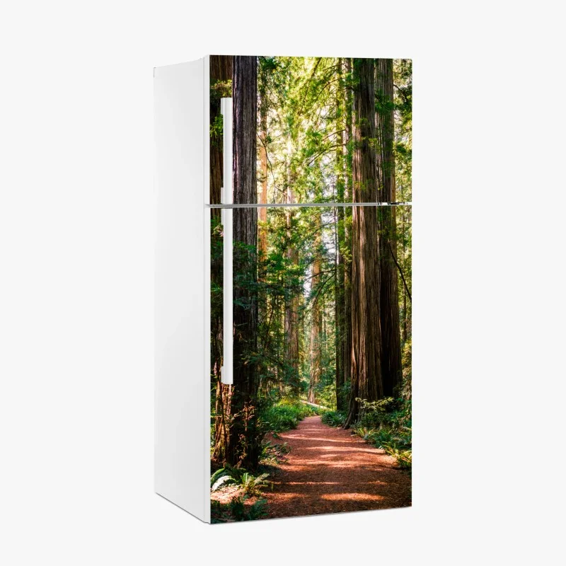 Fridge sticker majestic redwood forest trail