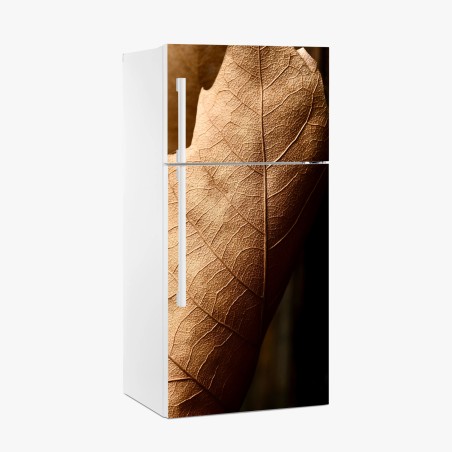 Fridge sticker textured dried leaf close-up • Wallissimo®
