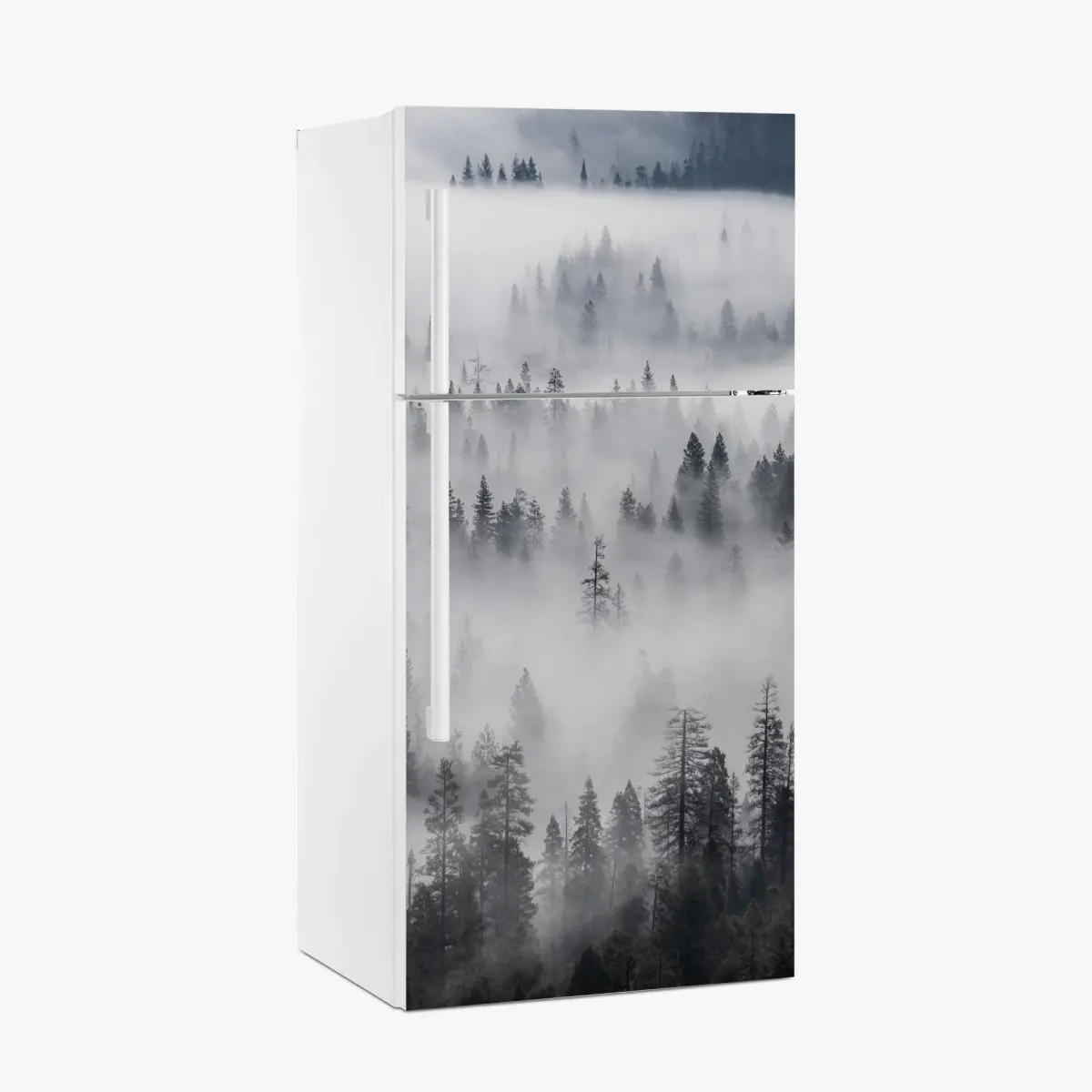 Fridge sticker mist-shrouded pine forest • Wallissimo®