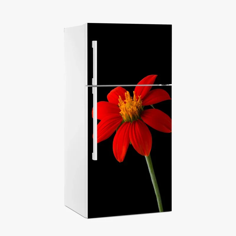 Fridge sticker vivid mexican sunflower on black background