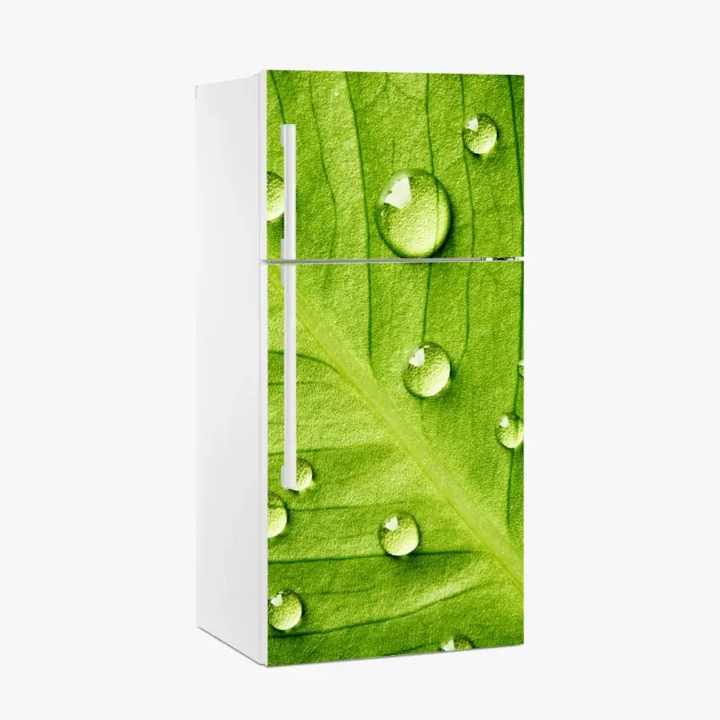 Fridge sticker fresh green leaf with water droplets