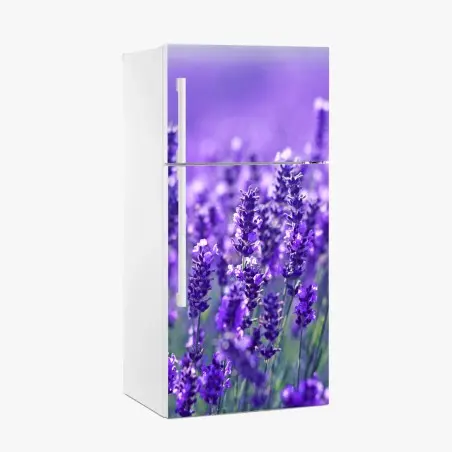 Fridge sticker lavender meadow close-up • Wallissimo®