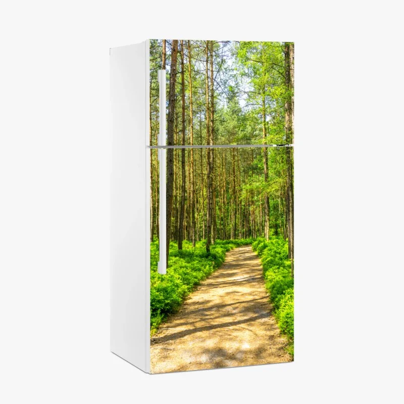 Fridge sticker sunlit forest path through green pines