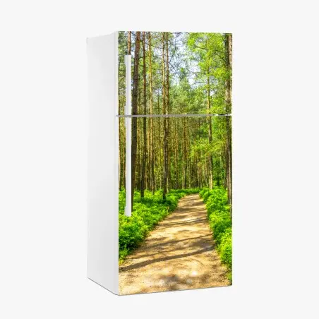Fridge sticker sunlit forest path through green pines • Wallissimo®
