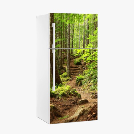 Fridge sticker mossy forest trail • Wallissimo®