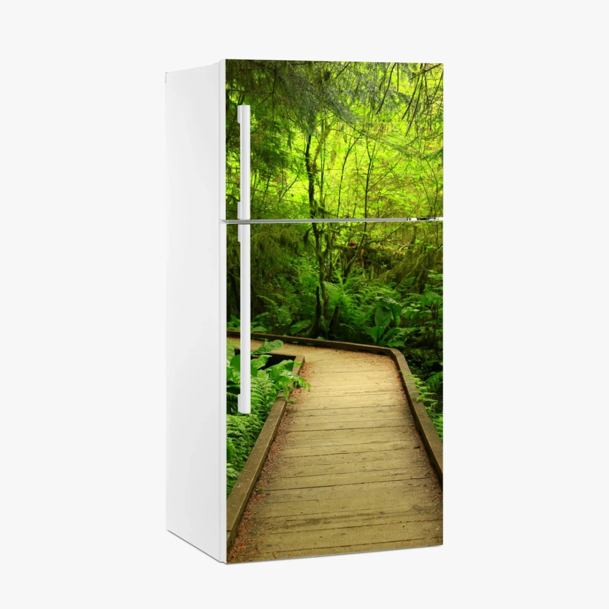 Fridge sticker serene green forest boardwalk • Wallissimo® Fridge sticker serene green forest boardwalk • Wallissimo®