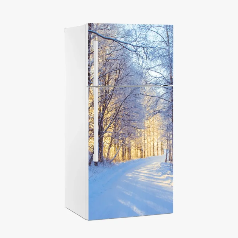 Fridge sticker winter birch forest pathway at sunrise